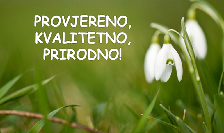 Pretilost