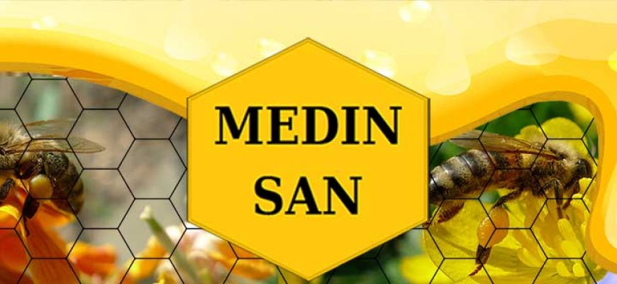Medin San