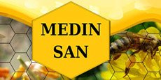 Medin San